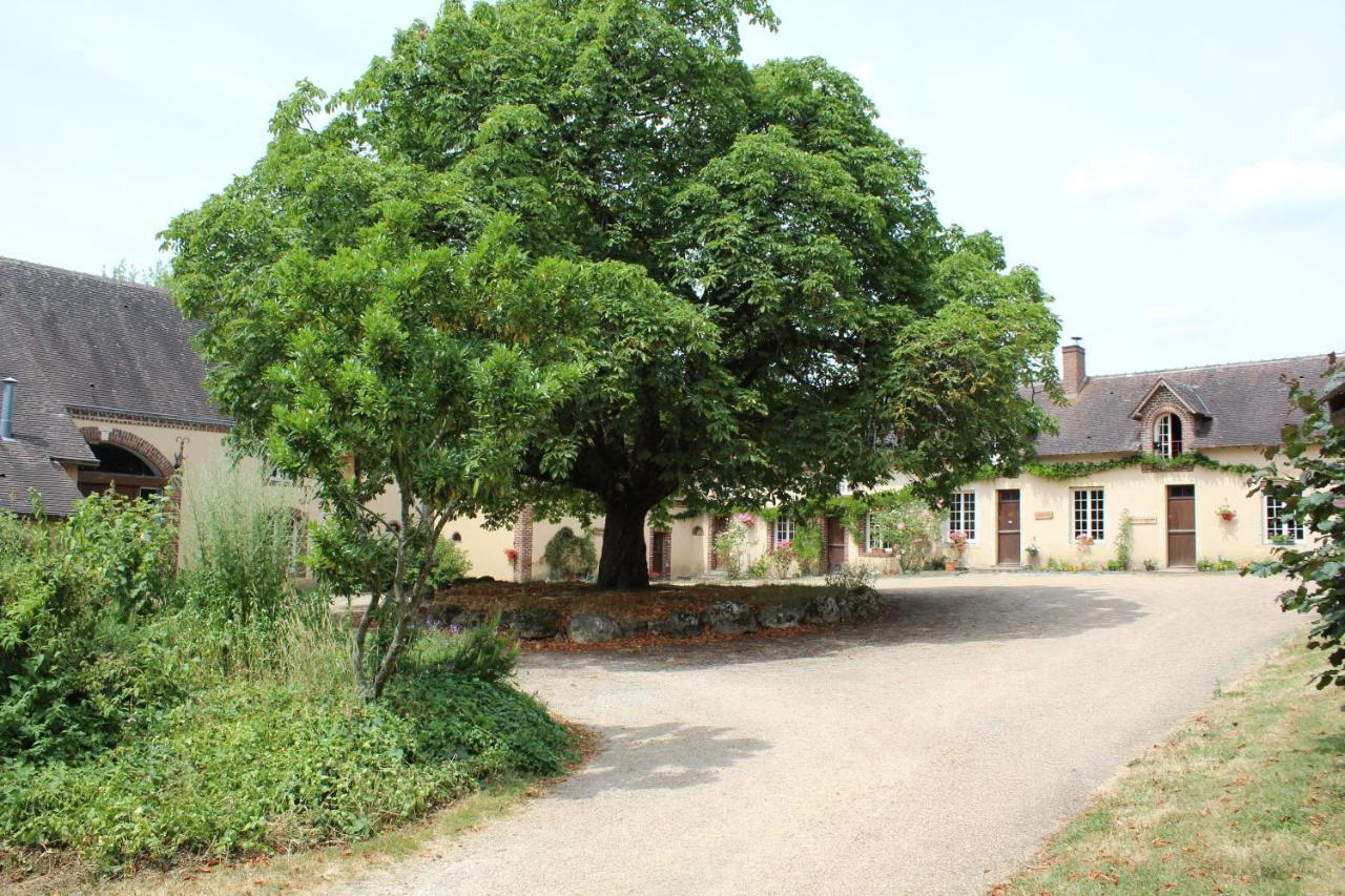 Gite Des Etangs De Beaulieu Le Plessis-Dorin Zewnętrze zdjęcie