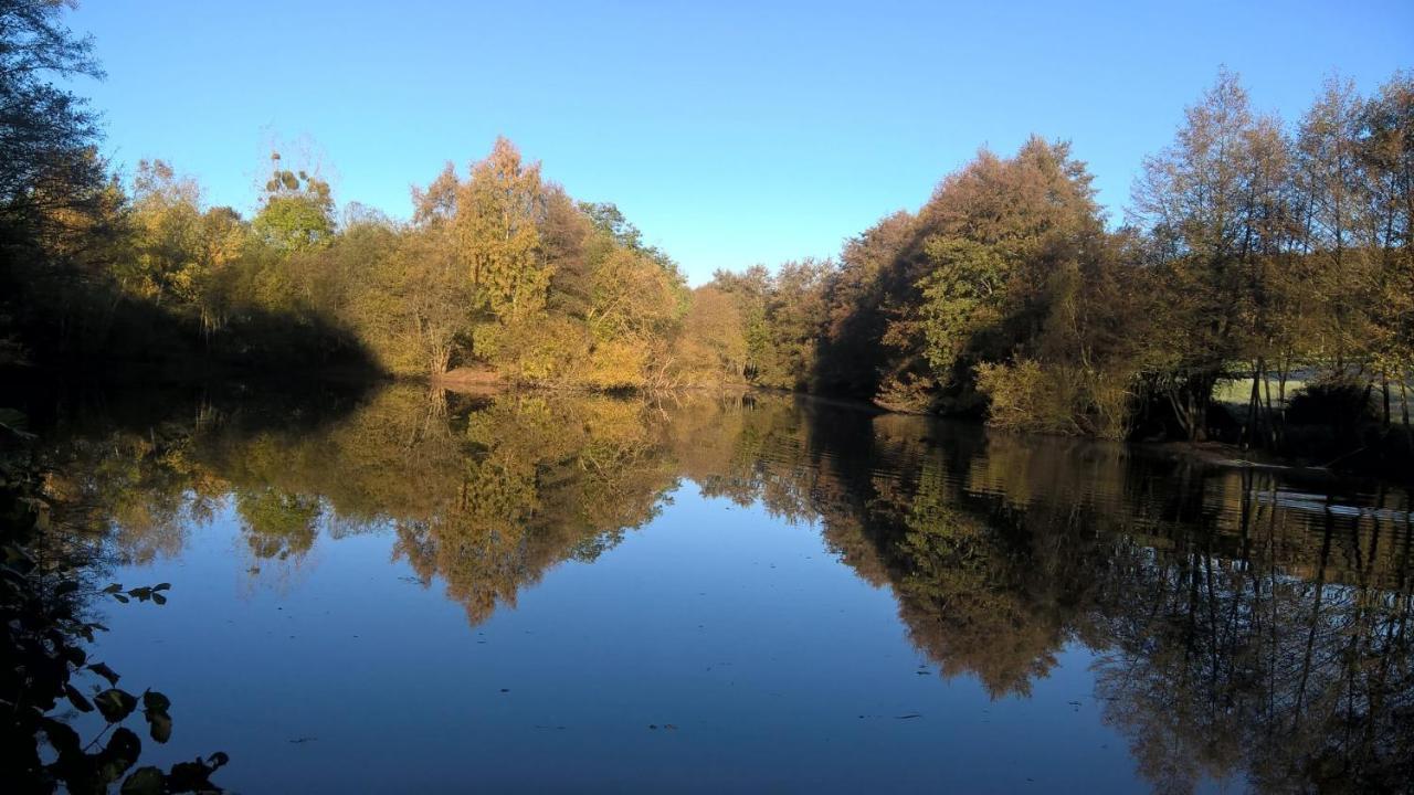 Gite Des Etangs De Beaulieu Le Plessis-Dorin Zewnętrze zdjęcie